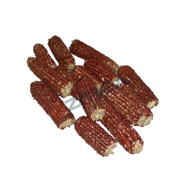 Zarea presents its biodegradable Red Corn Cob, now in stock. This agricultural biomass product is perfect for animal bedding and industrial use. Buy today!