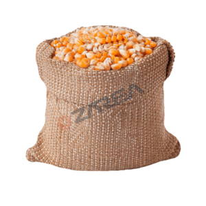 Buy corn online (premium maize) مکی. It is recognized for its abundant protein and fiber content. Zarea features plump kernels and a delightful sweetness.