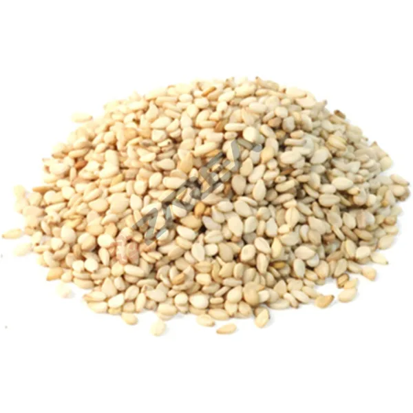 Hybrid Sesame Seeds