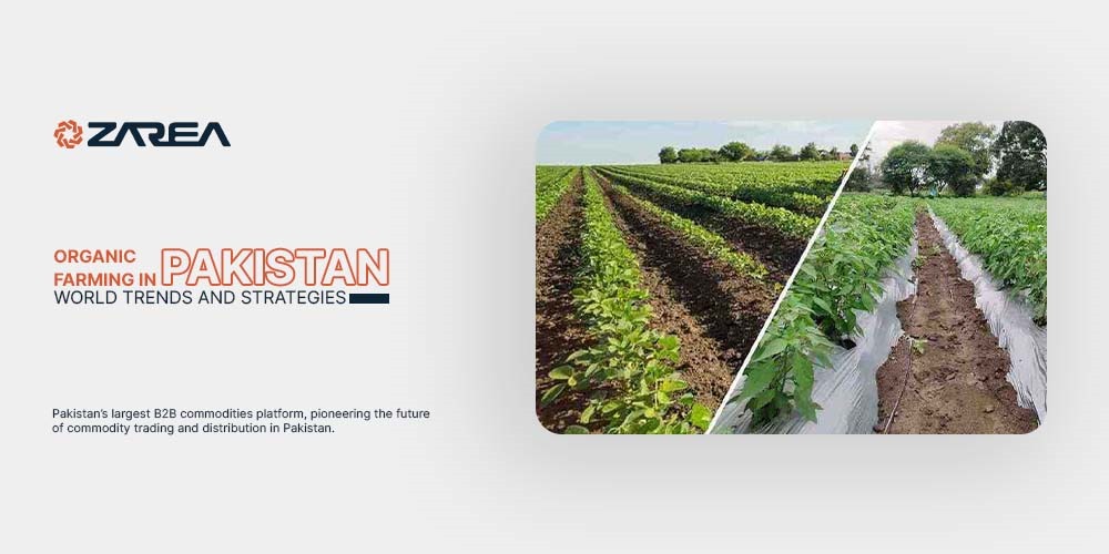Let's explore organic farming in Pakistan, global trends, & strategies. And why does Pakistan have just 0.1% of all organic farms globally?