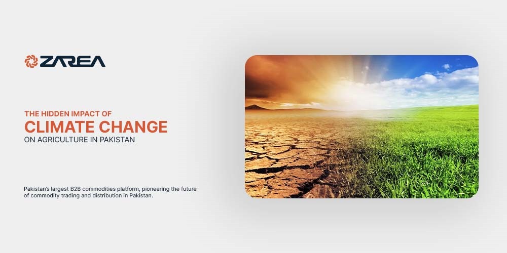 Let's Zarea help you to find out how impact of climate change in Pakistan affects Agriculture and the Food Supply, and soil erosion.